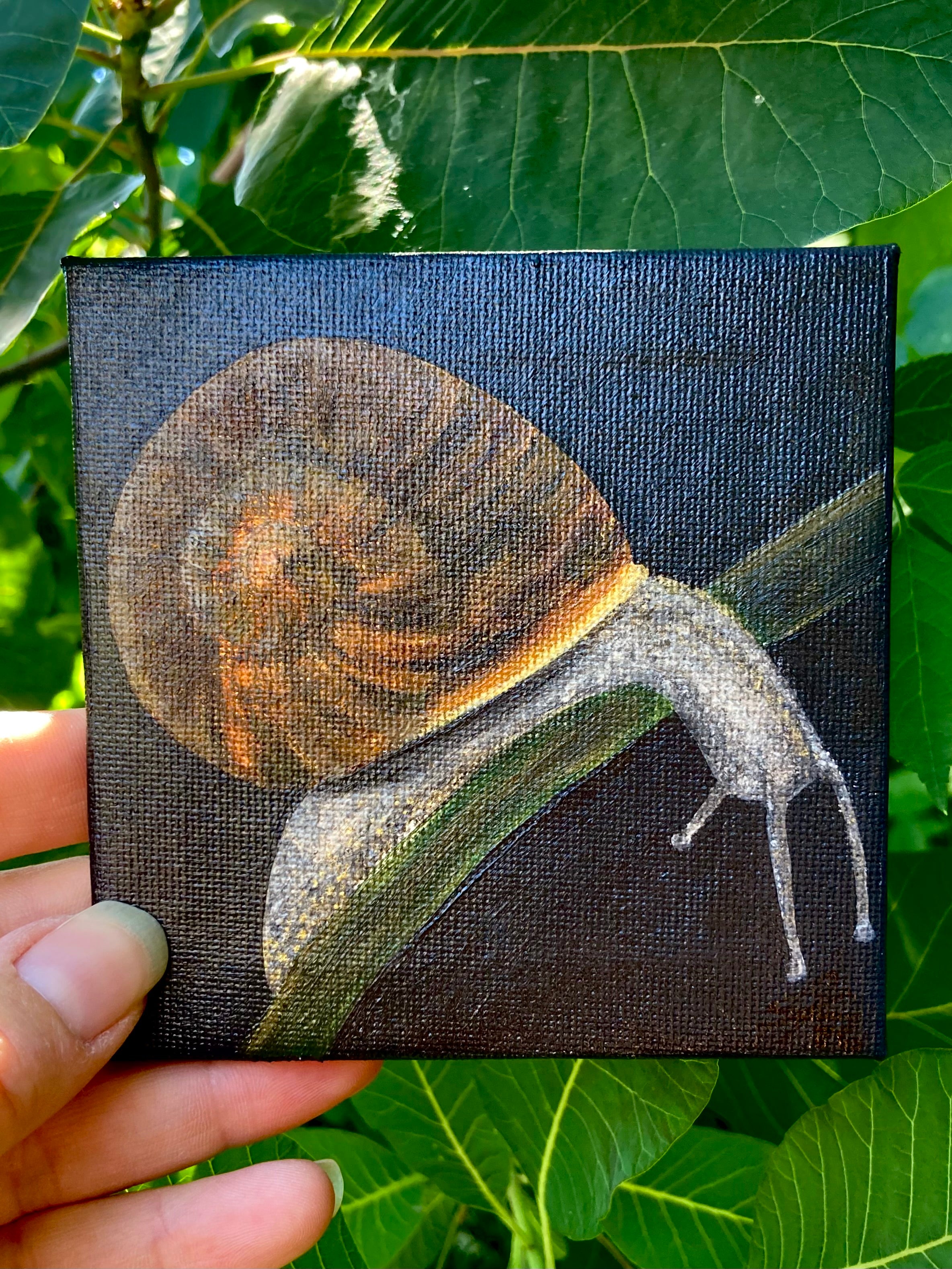 'The Wondering Snail' - acrylic painting