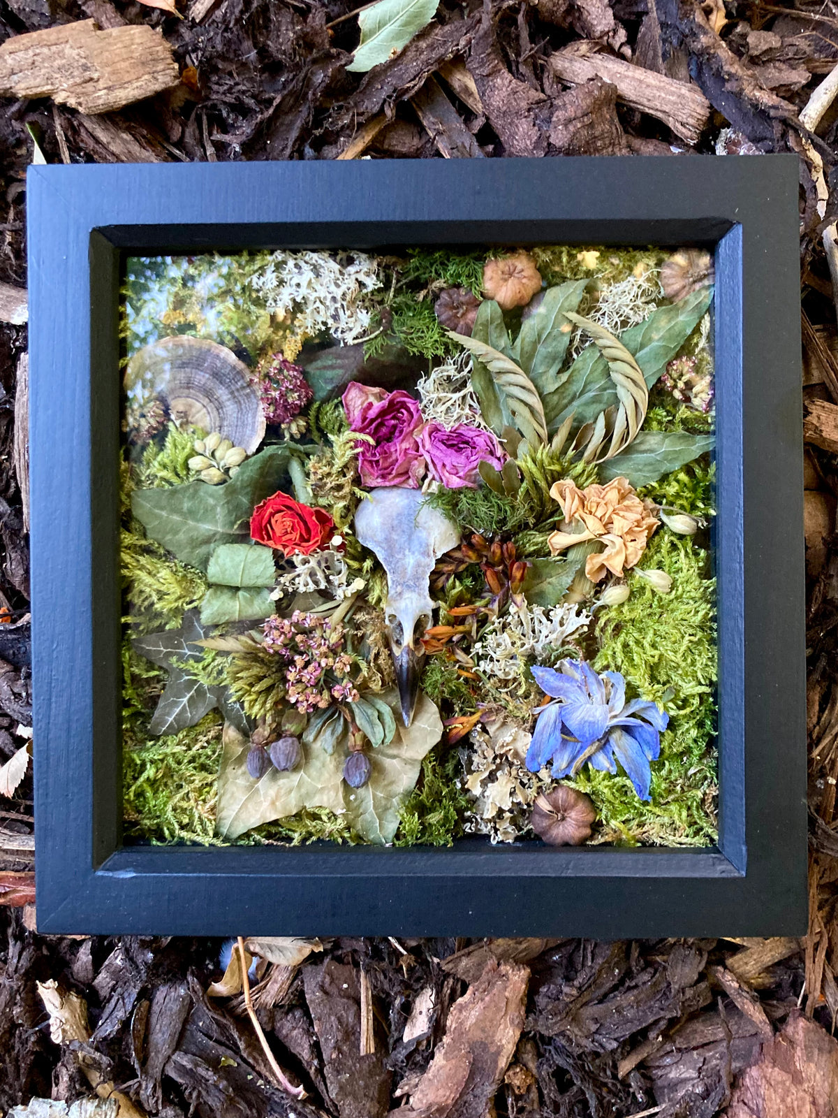 ‘Overgrown’ - real skull art piece