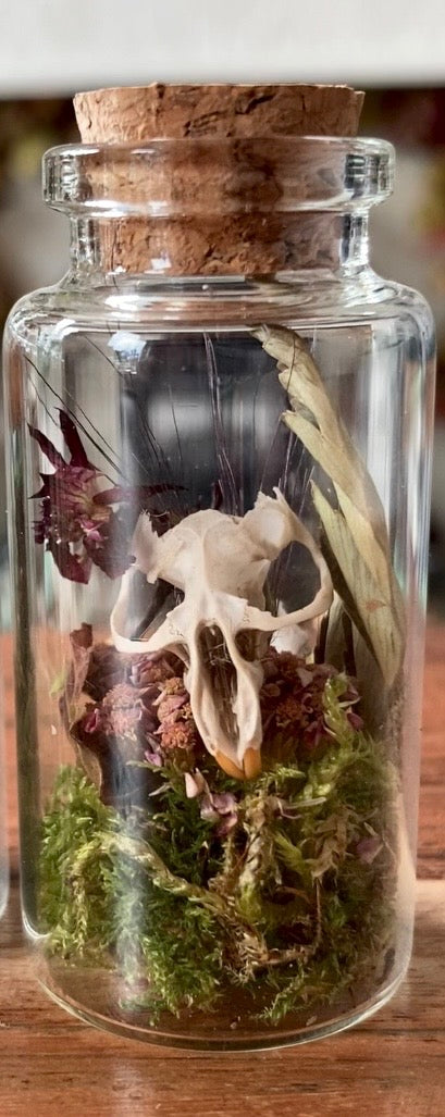 Floral skull jars - grass