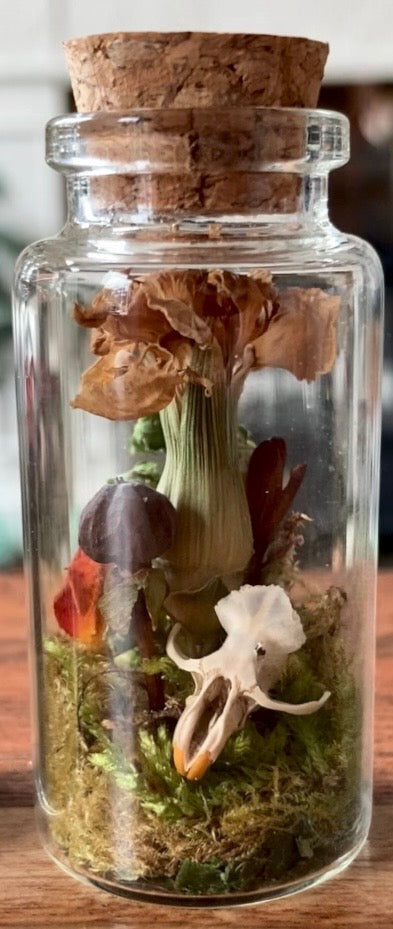 Floral skull jars - carnation