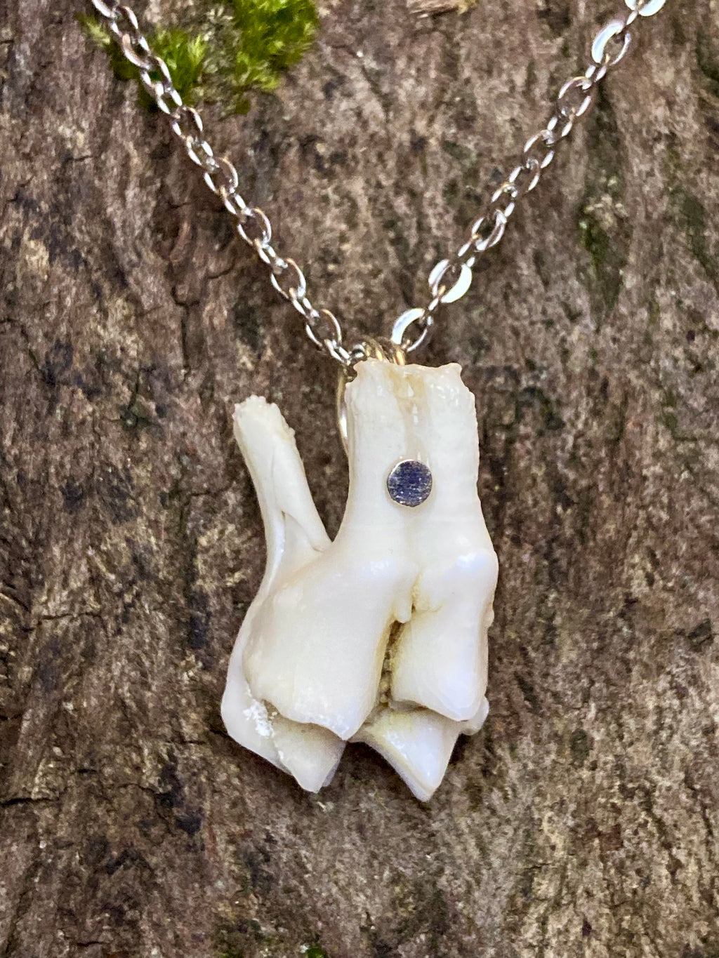 “Broken” bone necklace [reduced]