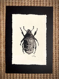 ‘Rose Chafer’ limited edition linocut print