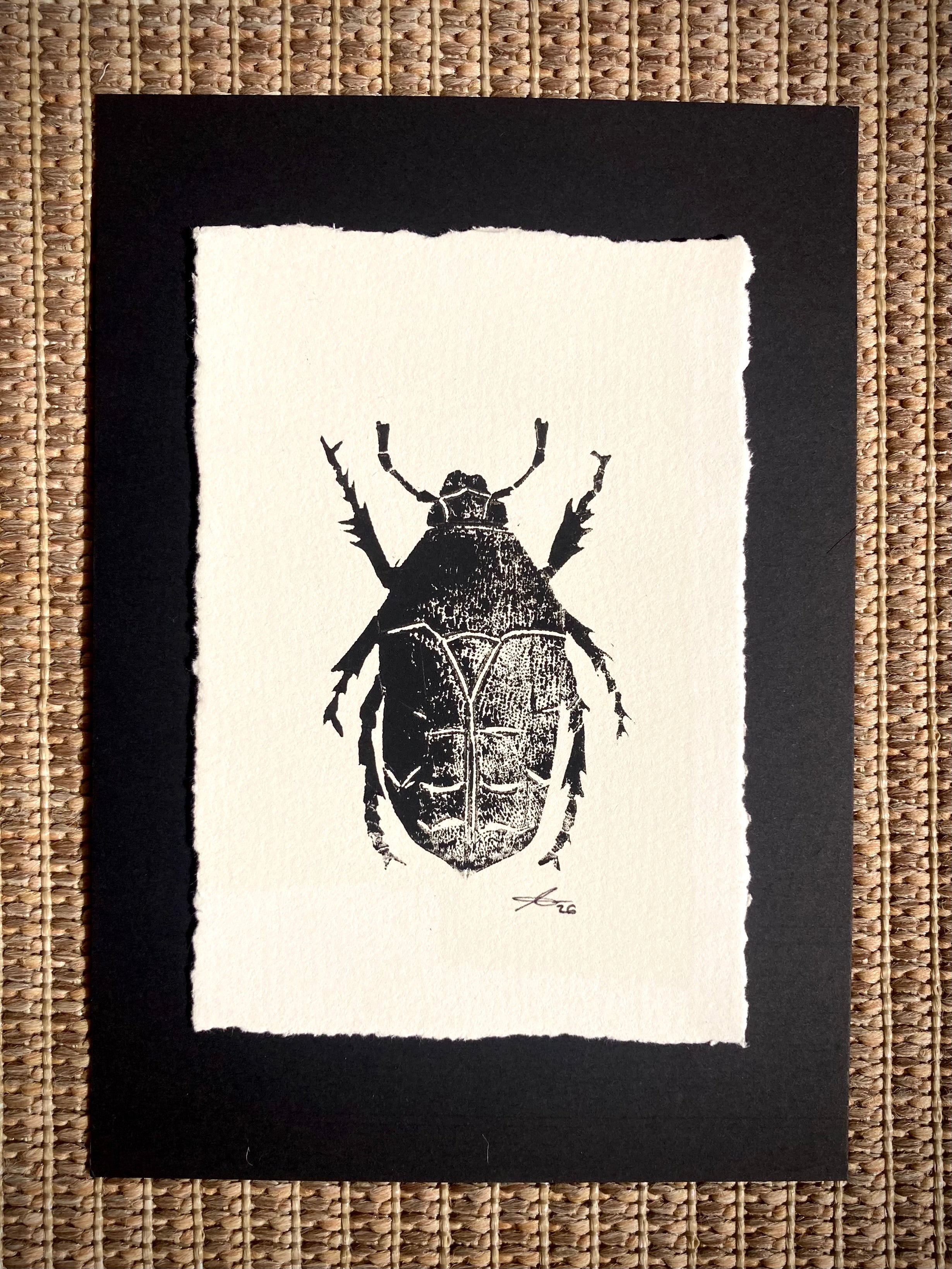 ‘Rose Chafer’ limited edition linocut print