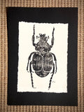 ‘Bee Beetle’ limited edition linocut print