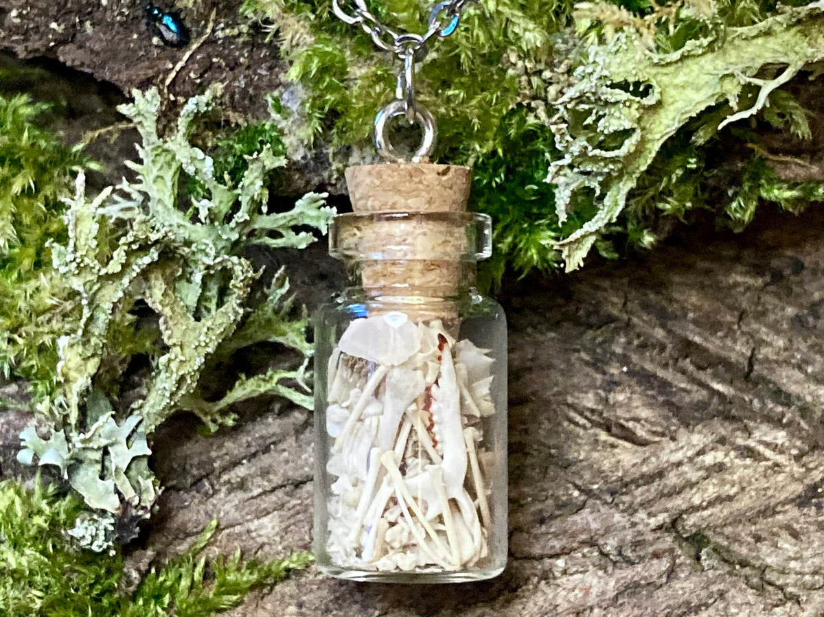 ‘Bone Jar’ necklace