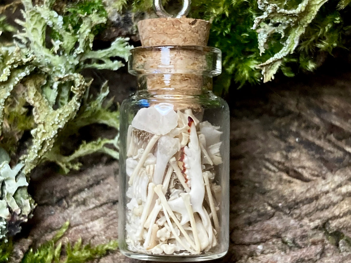 ‘Bone Jar’ necklace