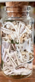 Gemma’s bone jar (commission)