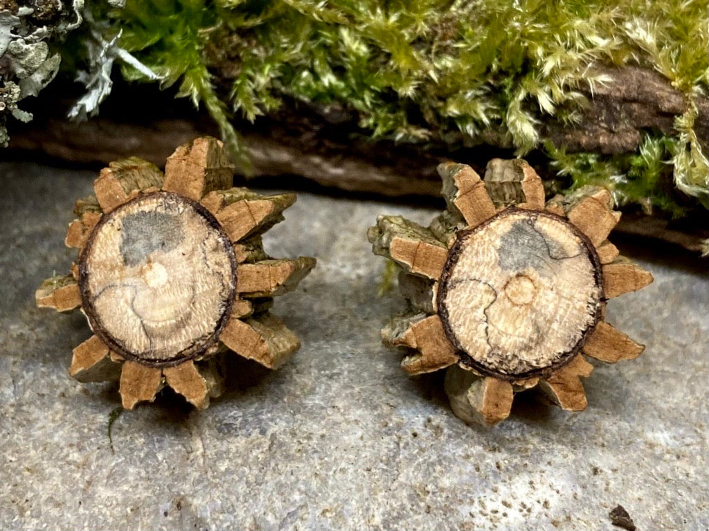 'Field Maple' stud earrings - sunflowers