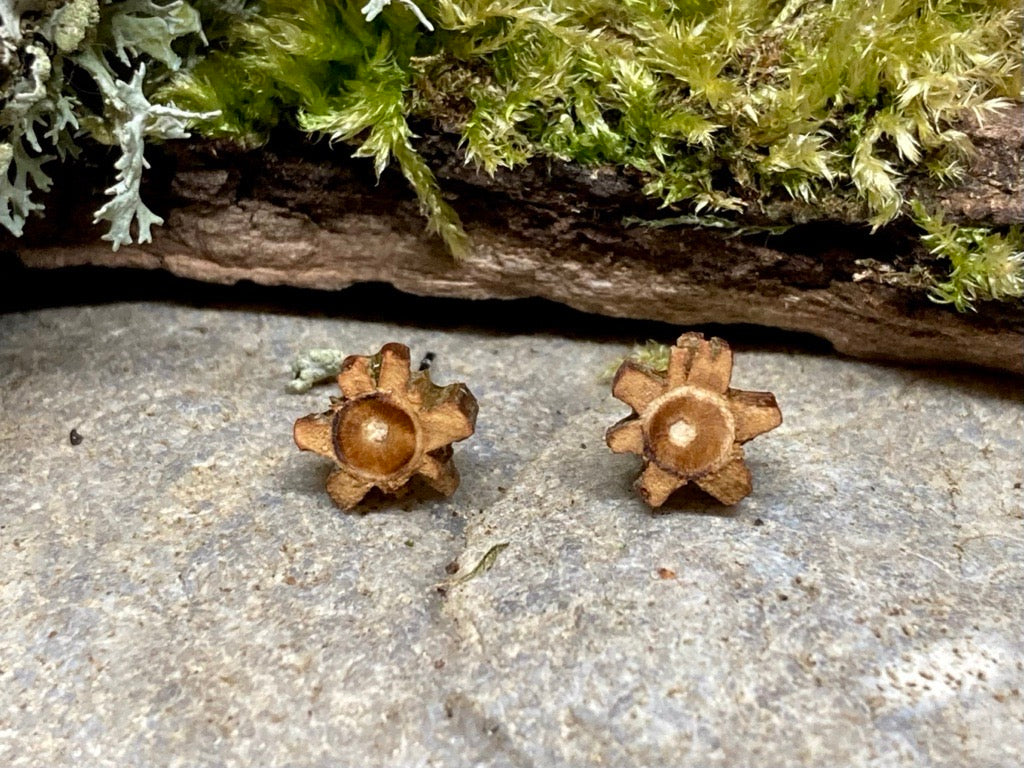 'Field Maple' stud earrings - tiny flowers