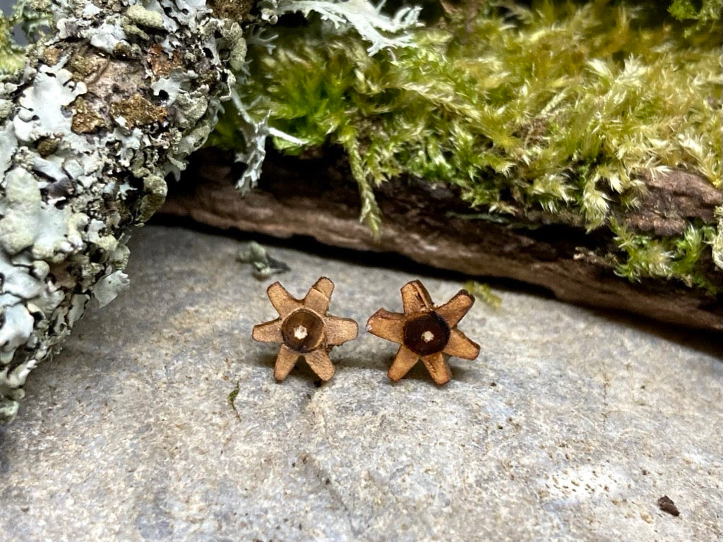 'Field Maple' stud earrings - stars