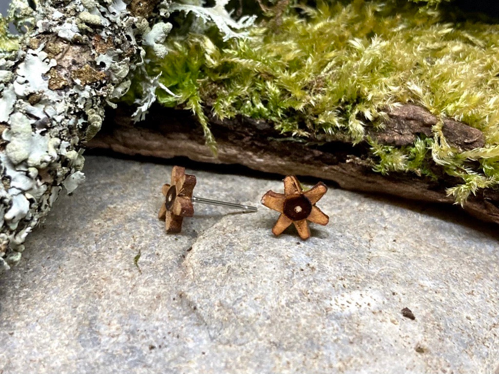 'Field Maple' stud earrings - stars