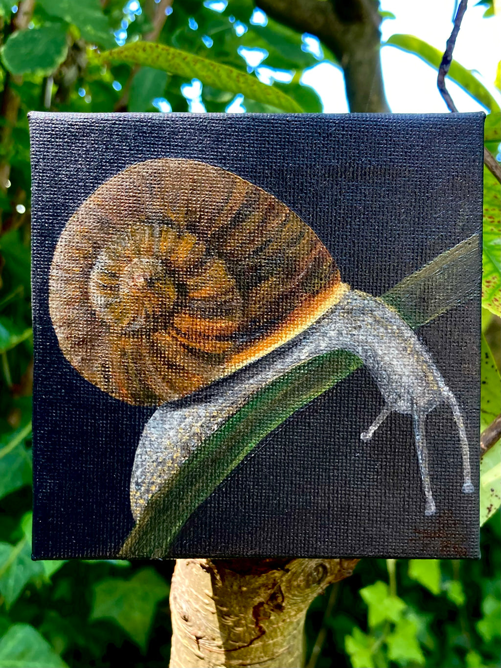 'The Wondering Snail' - acrylic painting