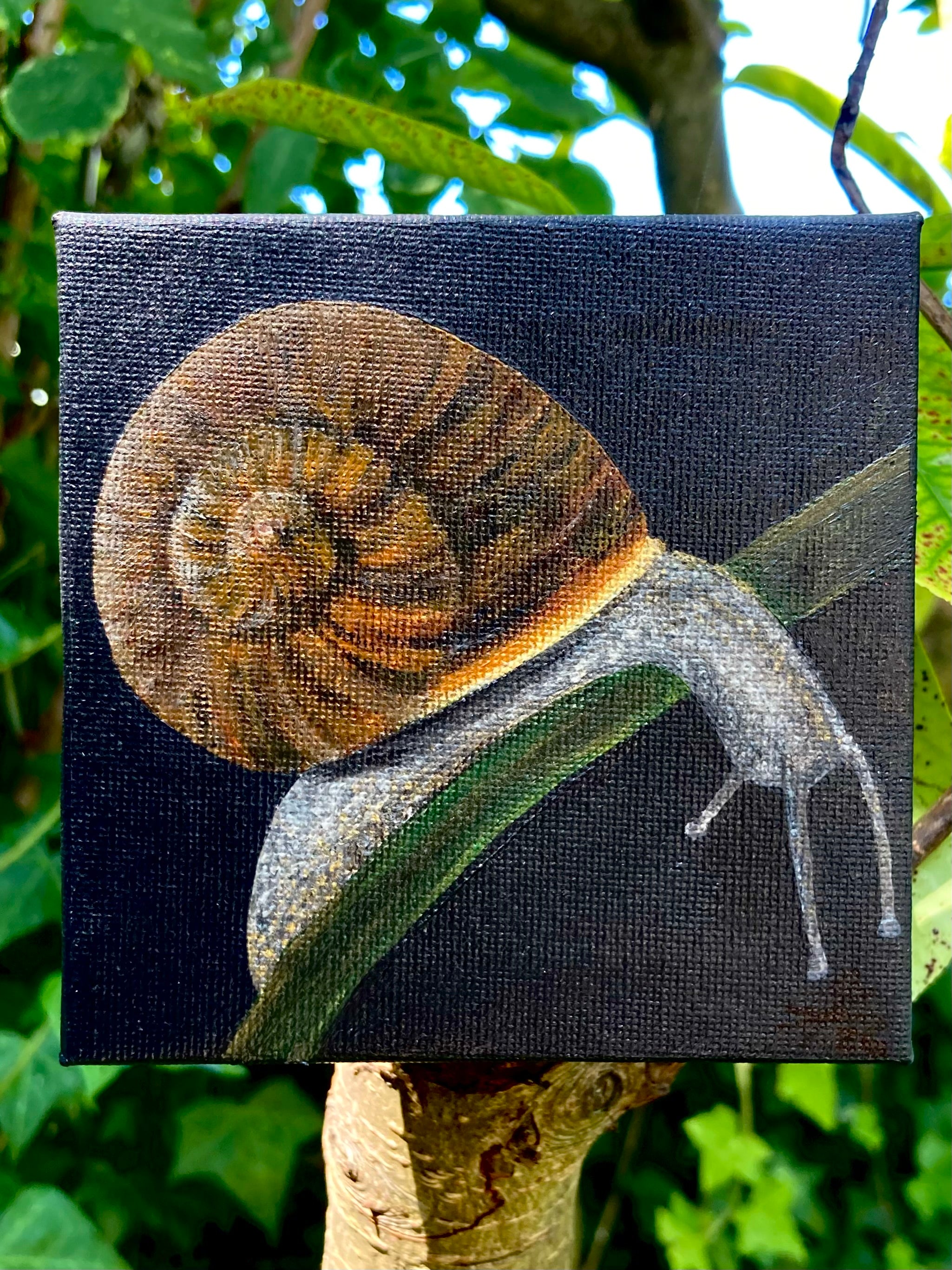 'The Wondering Snail' - acrylic painting
