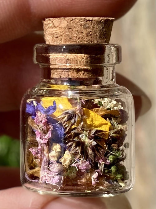 'Cumbrian Fields' journey jar
