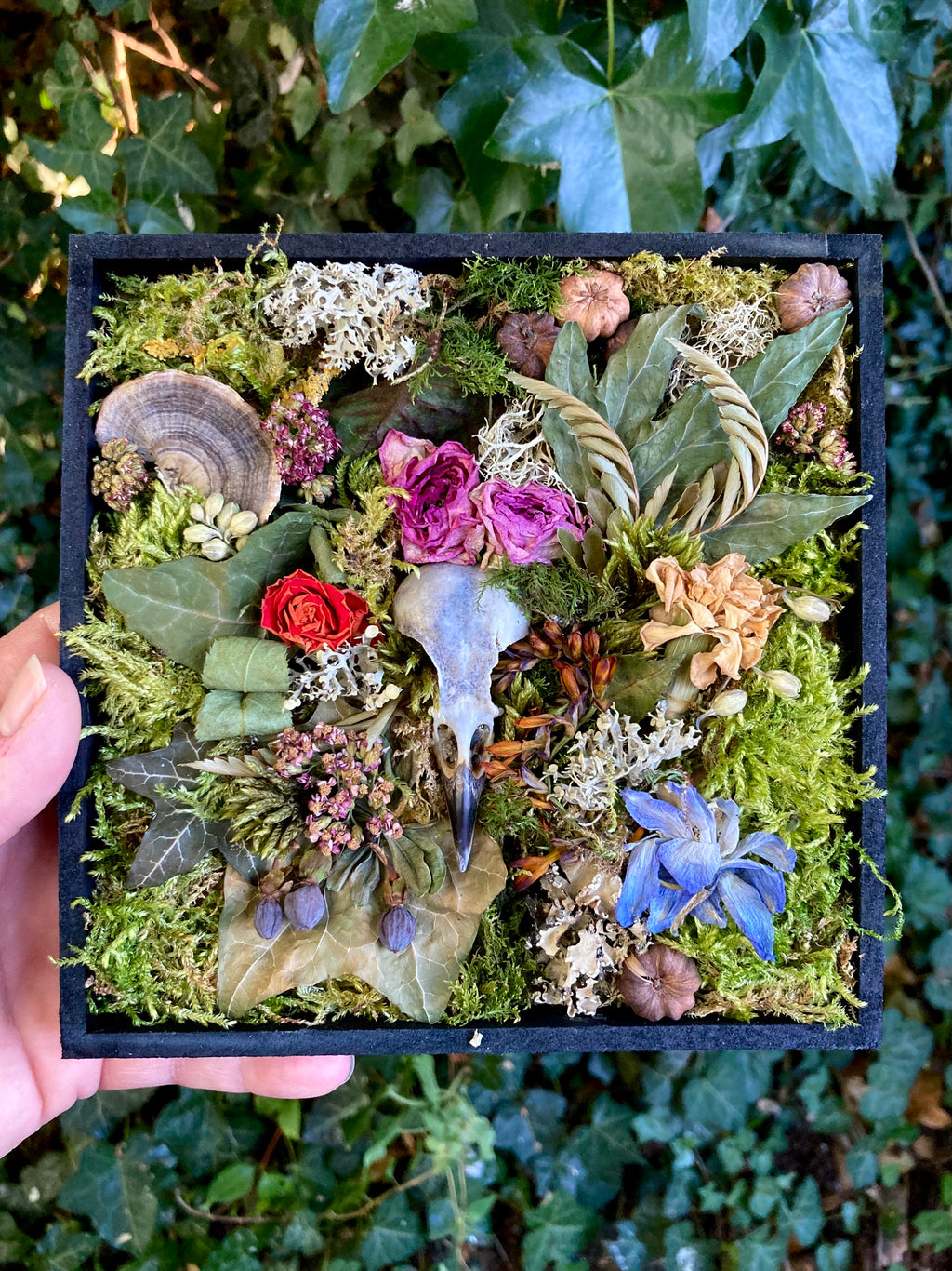 ‘Overgrown’ - real skull art piece