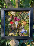 ‘Overgrown’ - real skull art piece