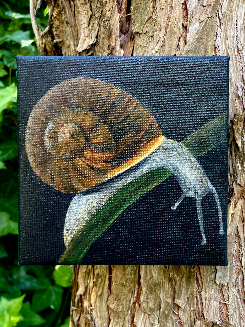 'The Wondering Snail' - acrylic painting