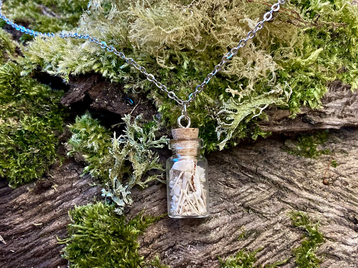 ‘Bone Jar’ necklace