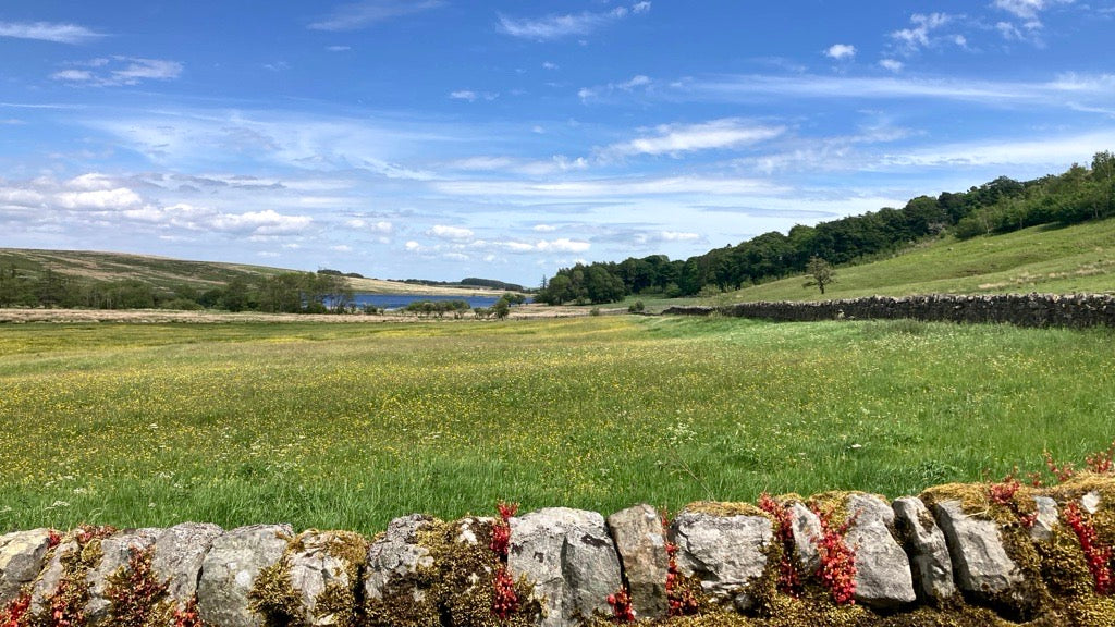 'Pennine Walks' journey jar