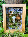 'A Rabbit's Rest' - real skull art piece