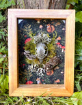 'In the Dark Forest' - real skull art piece