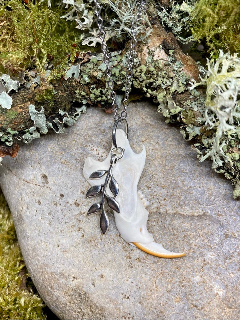 Jawbone necklace