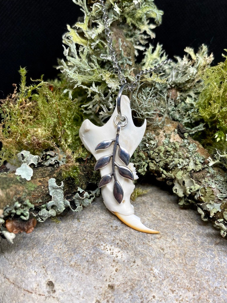 Jawbone necklace