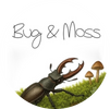 Bug &amp; Moss - Home