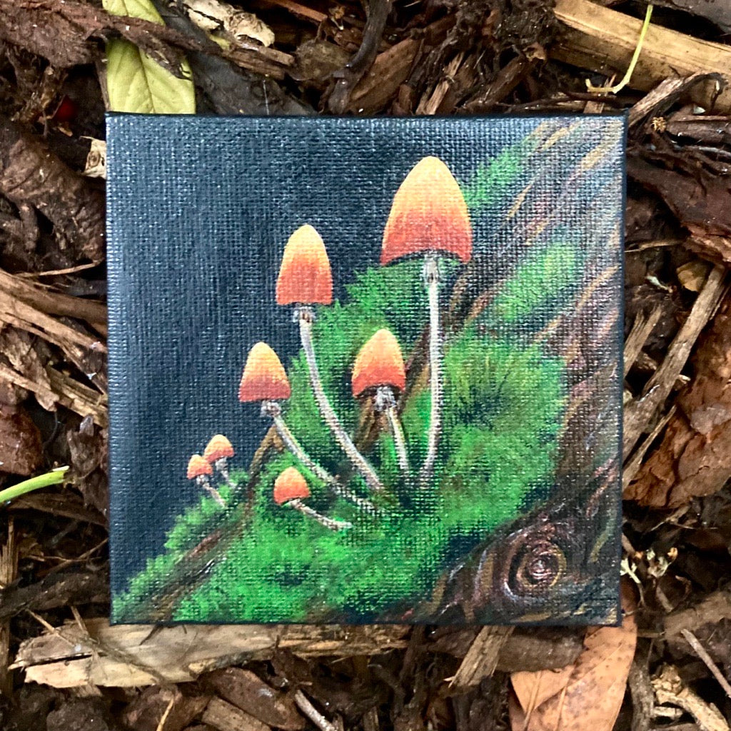 'Mushroom and Moss' - acrylic painting