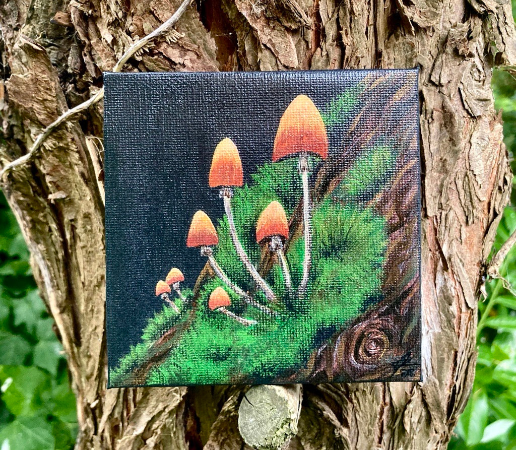 'Mushroom and Moss' - acrylic painting