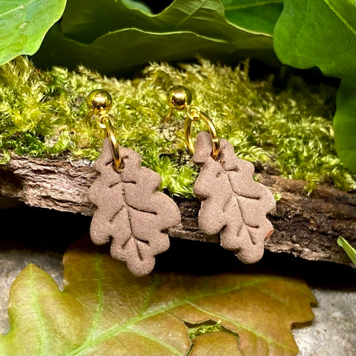 'Oak sapling' stud earrings - coffee brown