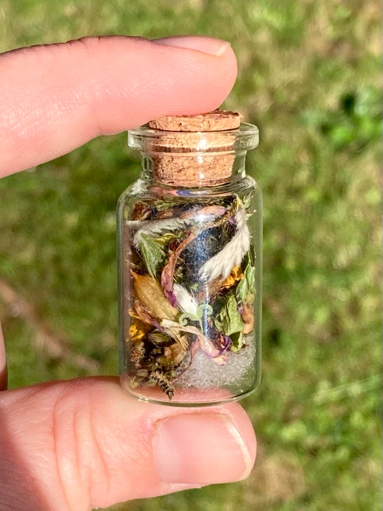 'Pennine Walks' journey jar