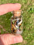 'Pennine Walks' journey jar