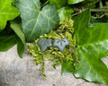 'Tiny ivy' stud earrings - deep khaki