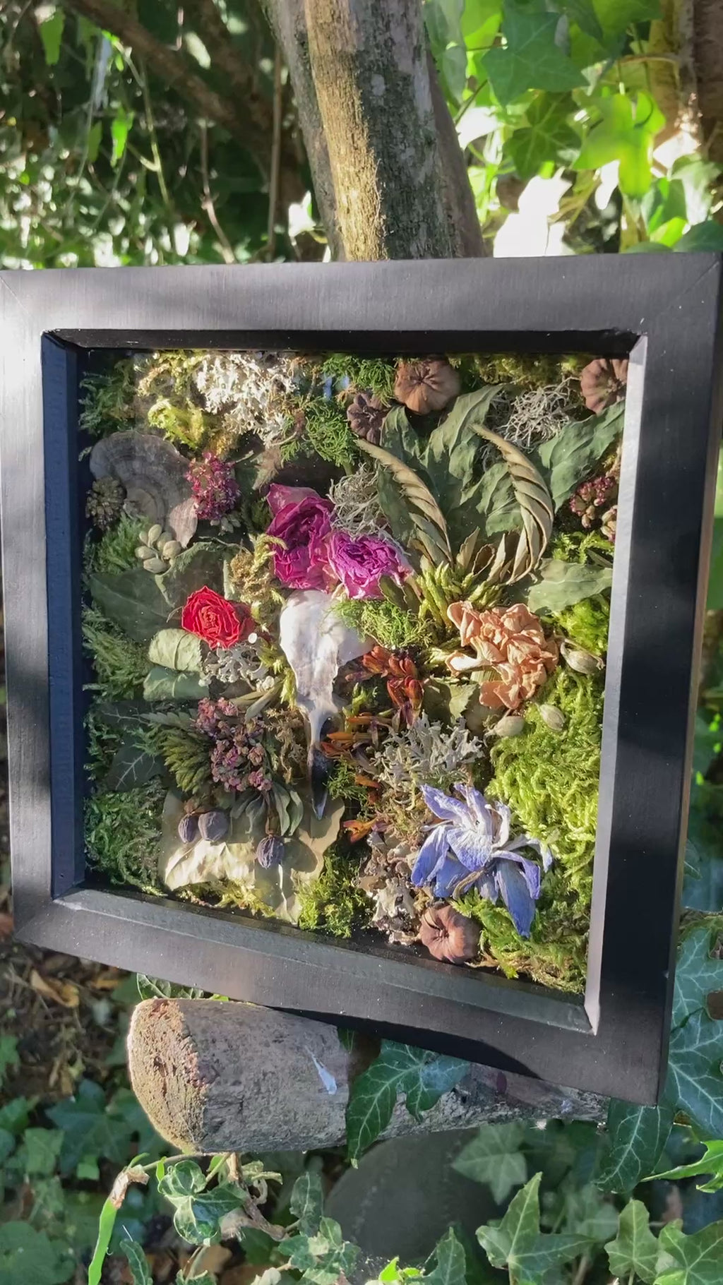 ‘Overgrown’ - real skull art piece